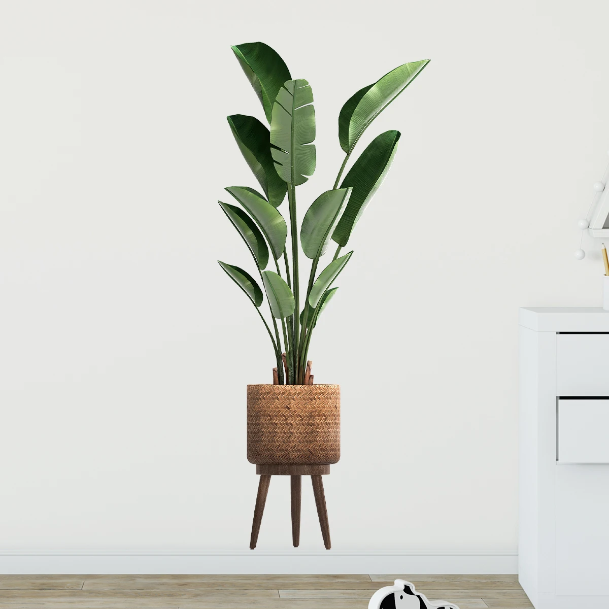Tanaman hijau hias, stiker din - Home Office Layout ulasan dan harga