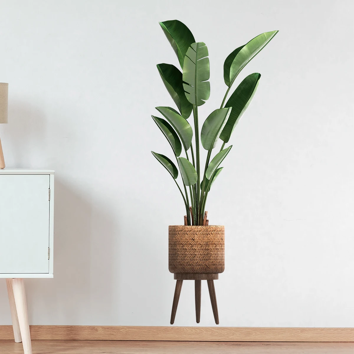 Tanaman hijau hias, stiker din - Home Office Layout ulasan dan harga
