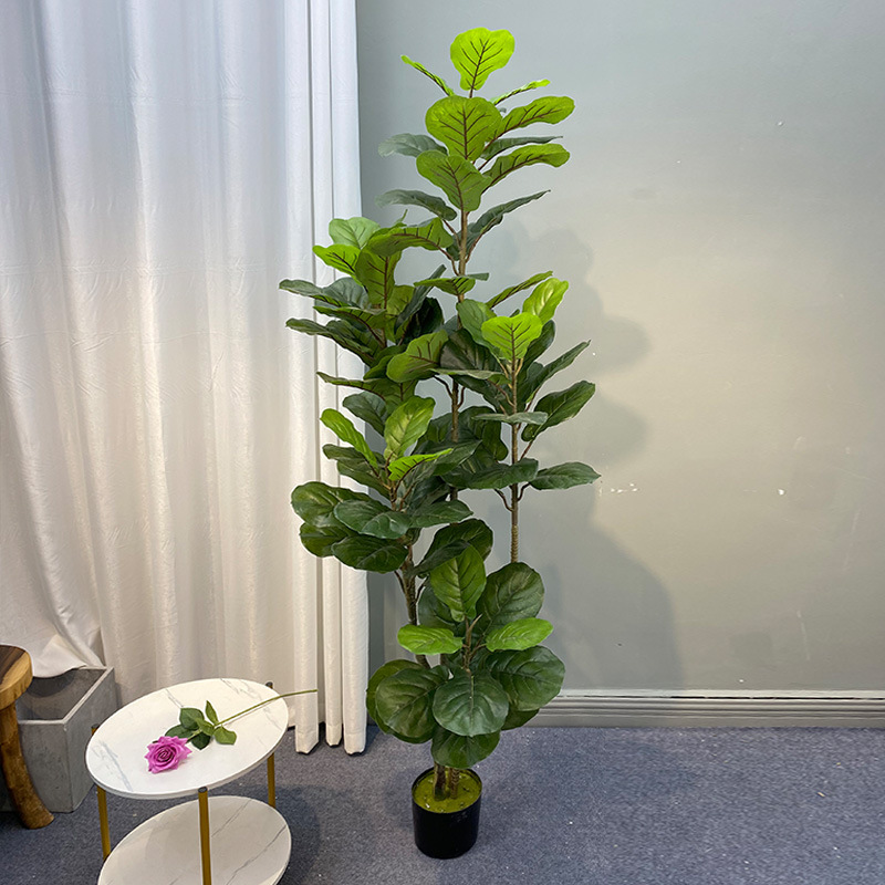 Tanaman pohon Ficus besar 59in - Home Office Layout ulasan dan harga
