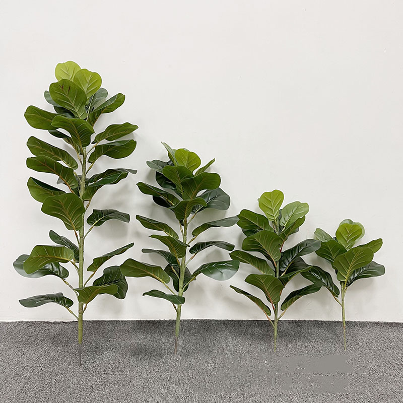 Tanaman pohon Ficus besar 59in - Home Office Layout ulasan dan harga