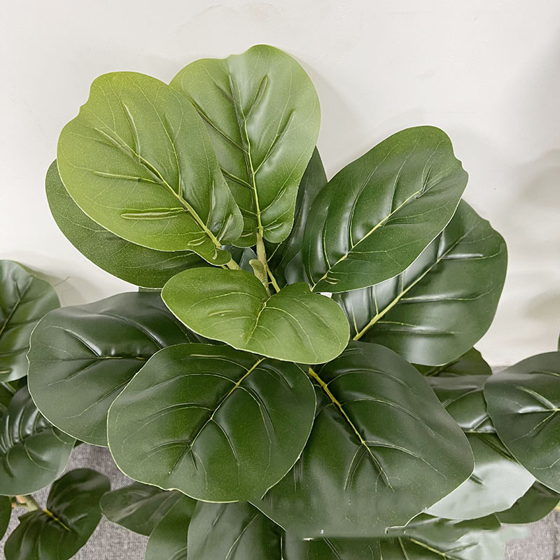 Tanaman pohon Ficus besar 59in - Home Office Layout ulasan dan harga