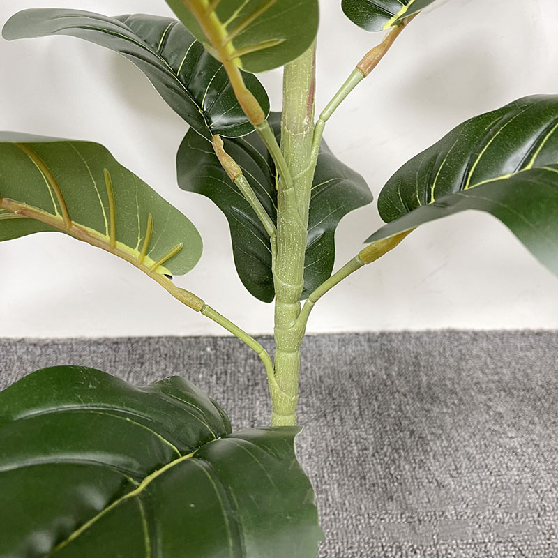 Tanaman pohon Ficus besar 59in - Home Office Layout ulasan dan harga